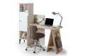 Petra Work Desk